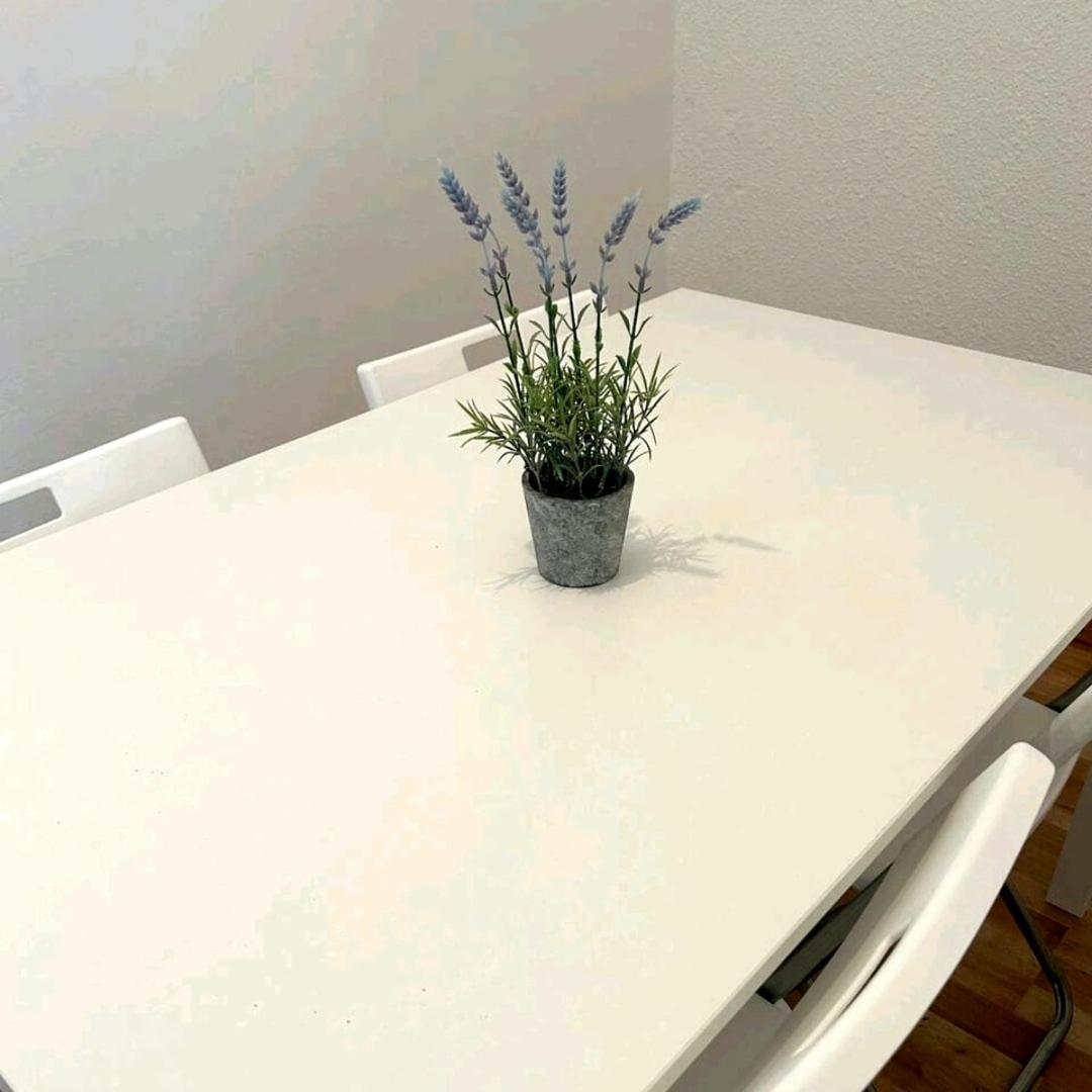 Playa Bcn Apartment